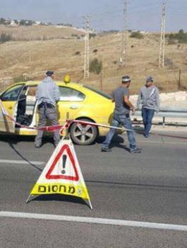 12247032_1107367325948767_3361670402568455517_n