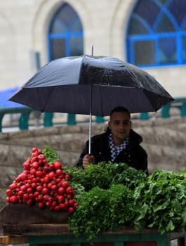 دراسة: الأمطار تهرب من مناطقنا والبلاد ستتحول إلى قاحلة