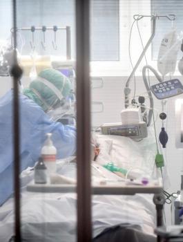 وفيات كورونا في اسرائيل 