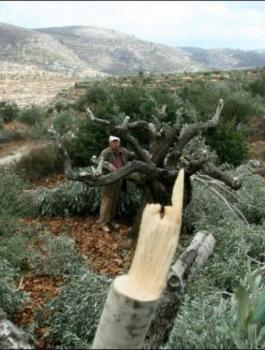 jiTklgjdfkjghdkljgy1