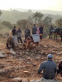 الاحتلال يمنع المواطنين من الدخول الى اراضيهم في مناطق التماس 
