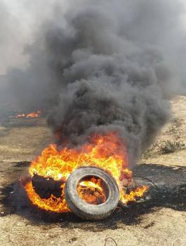 جمعة الكوشك 