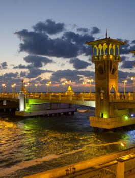 جريمة مروعة في الاسكندرية