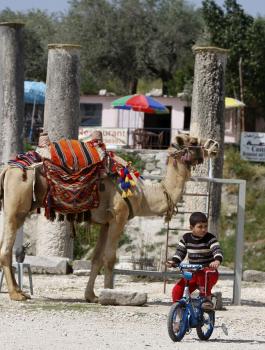 اقتحام سبسطية 