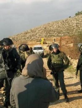 01078248067213372701584221023587