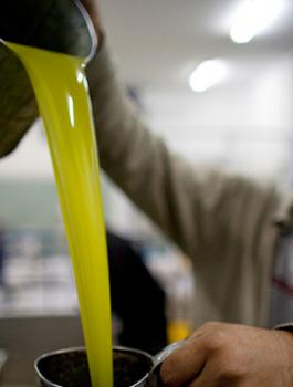 زيت بيت جالا 