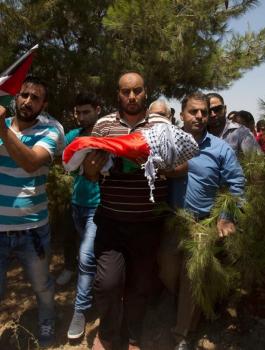 قرار باستئناف محاكمة قتلة عائلة دوابشة