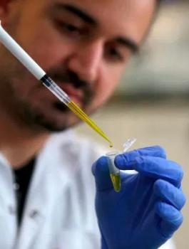 تسجيل اصابات بفيروس كورونا في فلسطين 