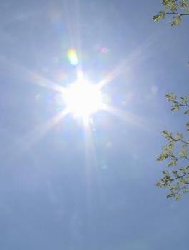 حالة الطقس في فلسطين 