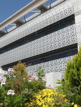 الجامعة العربية الامريكية رام الله 