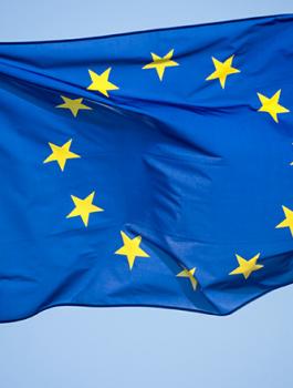 الاتحاد الاوروبي والاسرى المضربين عن الطعام 