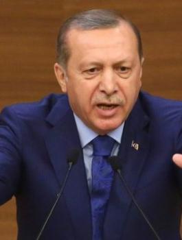 اردوغان والمانيا 