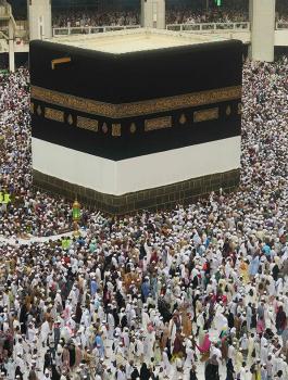 الحجاج في السعودية 