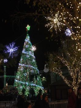 اعياد الميلاد في بيت لحم 