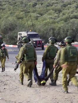 اعدام العمور 