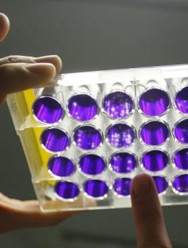 فايروس كورونا 