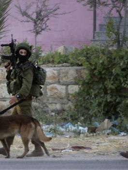 اعتقالات في الضفة الغربية 