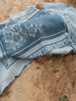 العثور على جثة فتاة في غزة 