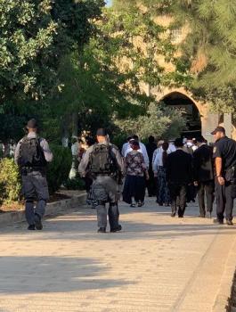 اقتحامات المستوطنين للمسجد الاقصى 