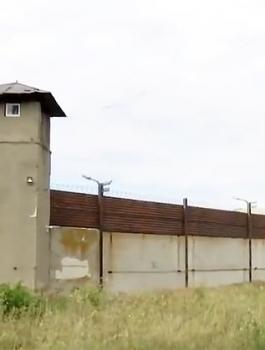 سيدة تحفر نفق لاخراج ابنها من السجن 