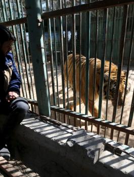 20160307135134reup--2016-03-07t135003z_726214042_gf10000336623_rtrmadp_3_palestinians-gaza-zoo_h