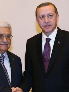 عباس أرردوغان 