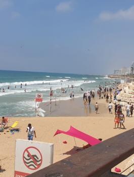 اسرائيل والفلسطينيين والداخل المحتل 