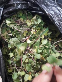 17498861_1842303549128470_4049437498341648798_n