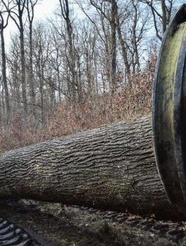 تغريم زوجين 