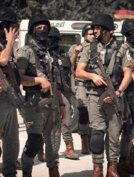 صفقة اراضي في جنين 