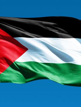 7fcabf95930ac1af148ac9244369b246