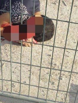 80cce37fcb9a46939034365a210cd982