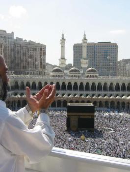 61efe5e8ac4ce9631977a510953a7050