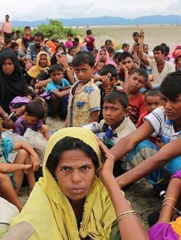 مسلموا الروهينغيا 