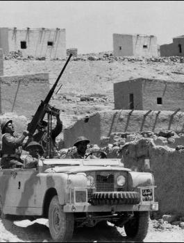 شهداء الجيش الاردني في فلسطين 