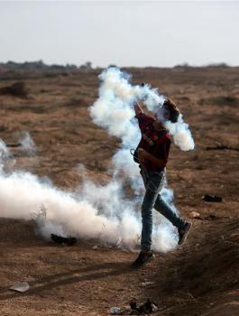 الشهداء في غزة 