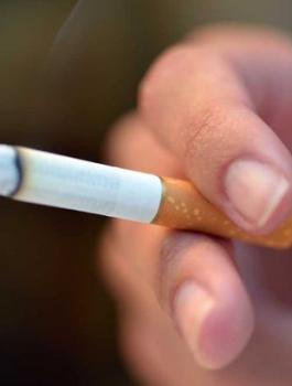 كم يدحن الفلسطينيون 