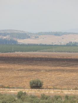 وزير هيئة مقاومة الجدار والاستيطان 