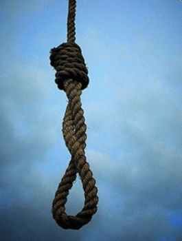 23037_660_3068958012