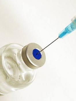 تطعيم حجاج فلسطين 