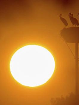 حالة الطقس في فلسطين 