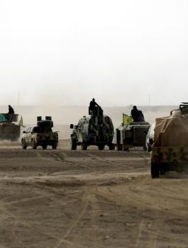 الباب السورية 