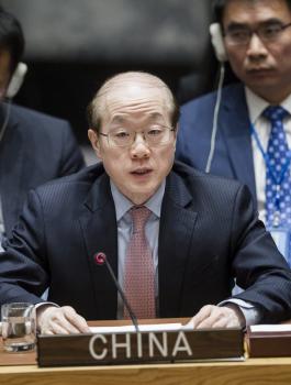 الصين: إقامة الدولة الفلسطينية يعد مفتاحا لإحلال السلام