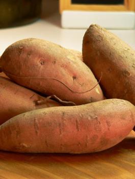 البطاطا الحلوة 