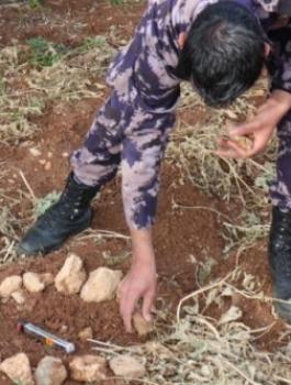 اتلاف  جسم مشبوه في جنين