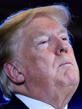 ترامب يدفع اموال للفلسطينيين 