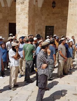 المستوطنون يقتحمون المسجد الأقصى 