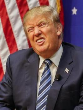 441 (14)