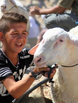 فلكيا- عيد الأضحى في 1 أيلول