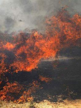 حرائق في حقول المستوطنين بغزة 